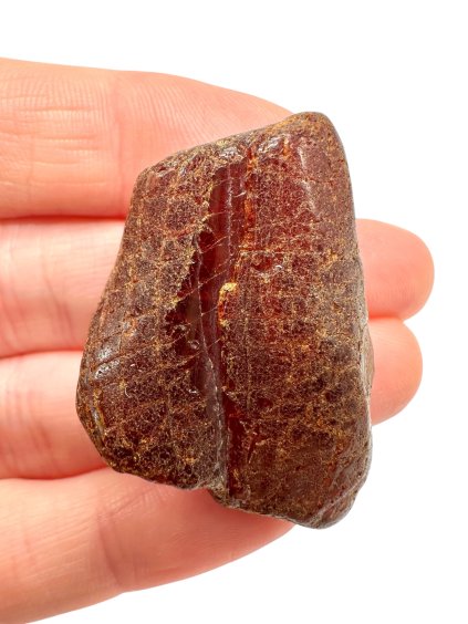 Photoroom 000 20251107 190438