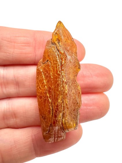 Photoroom 003 20251107 190438