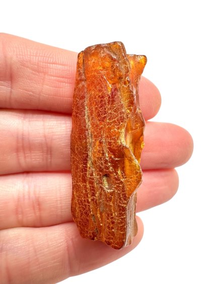 Photoroom 012 20251107 190438