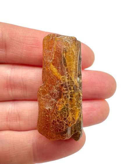 Photoroom 001 20251110 102758