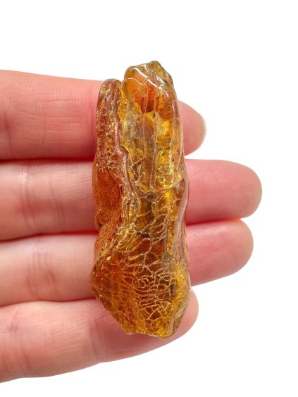 Photoroom 020 20251110 102758