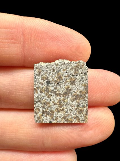 Photoroom 015 20251107 110734