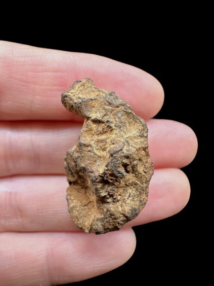 Photoroom 003 20251107 110734