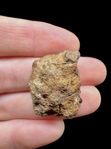 Photoroom 006 20251107 110734