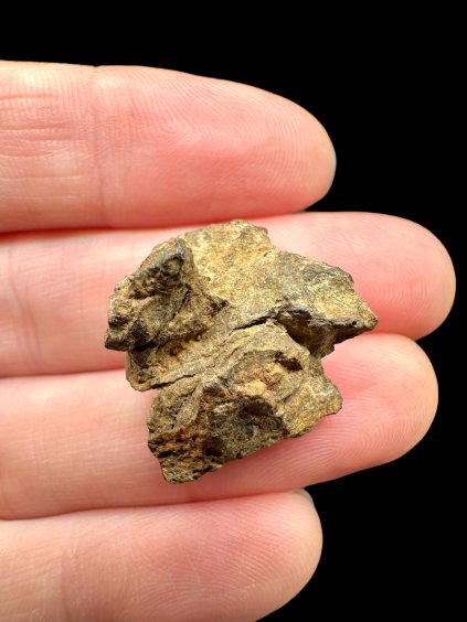 Photoroom 027 20251107 111338