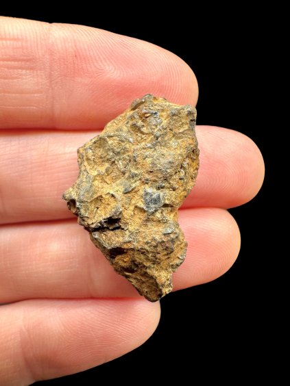 Photoroom 030 20251107 111338