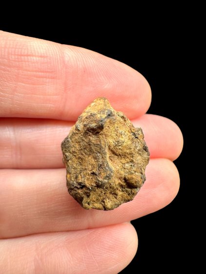 Photoroom 033 20251107 111338