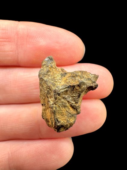 Photoroom 036 20251107 111338