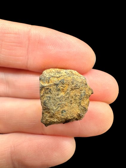 Photoroom 040 20251107 111338