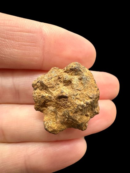 Photoroom 031 20251107 140953