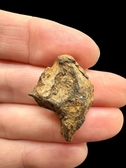 Photoroom 037 20251107 140953