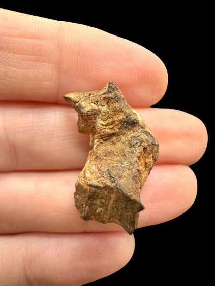 Photoroom 001 20251107 144629