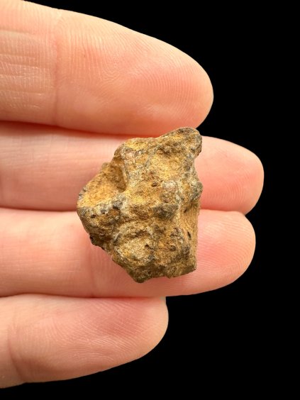 Photoroom 003 20251107 144629