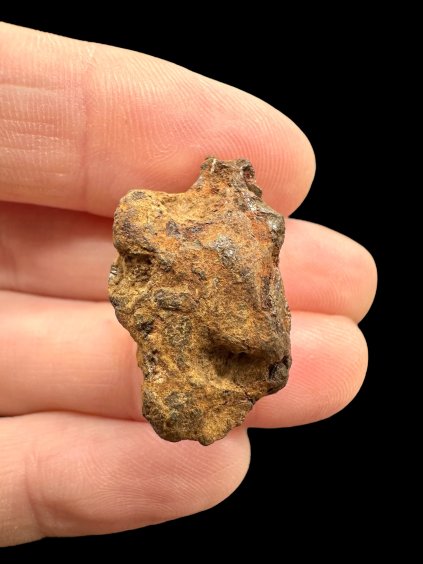 Photoroom 006 20251107 144629