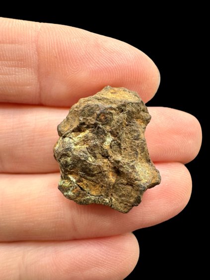 Photoroom 009 20251107 144629