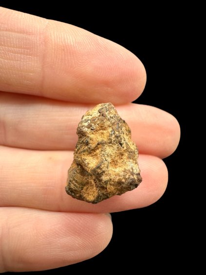 Photoroom 015 20251107 144629