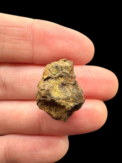 Photoroom 009 20251107 190742