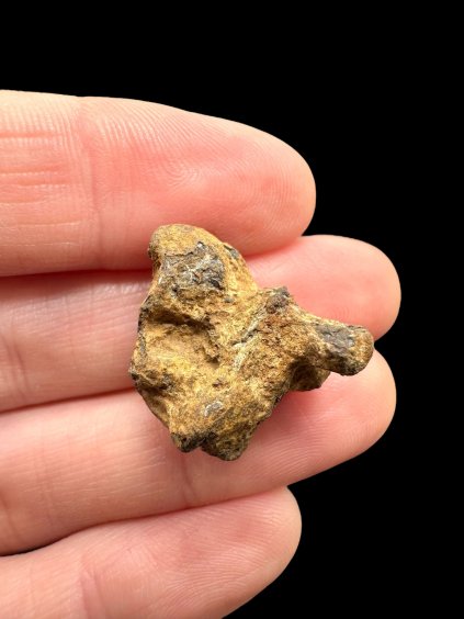 Photoroom 012 20251107 190742