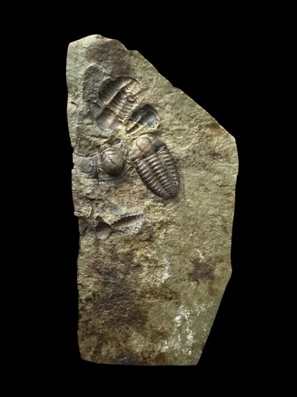 Photoroom 003 20251106 200703