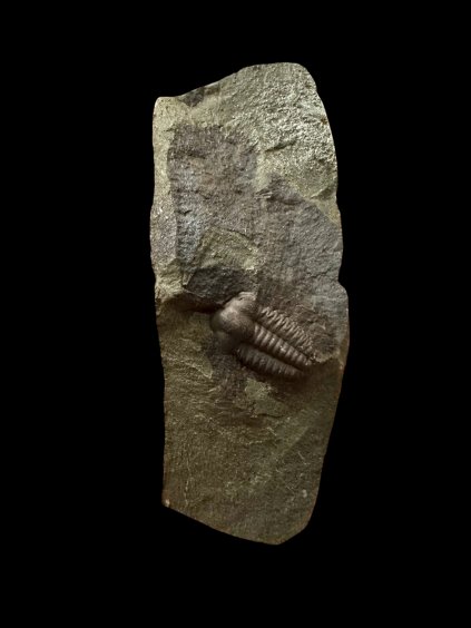 Photoroom 006 20251106 200703