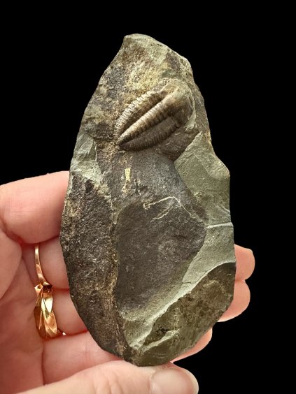 Photoroom 012 20251106 200703