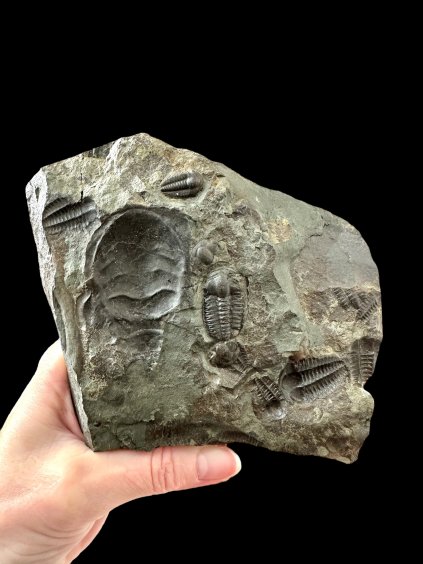 Photoroom 000 20251107 142322