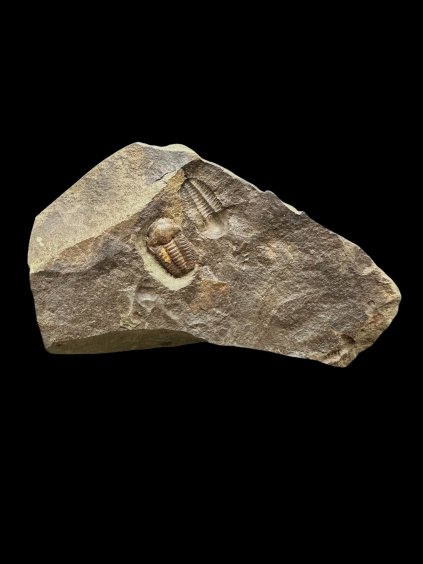 Photoroom 006 20251107 141326