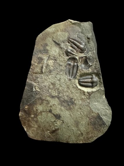 Photoroom 000 20251107 204150