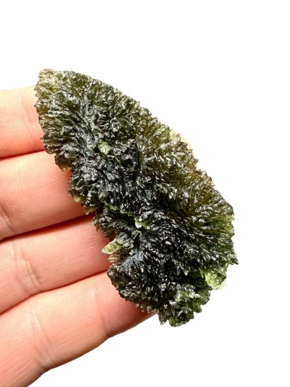 Photoroom 000 20251103 210109