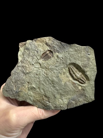 Photoroom 005 20251107 204150