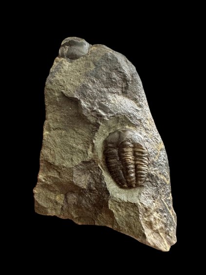 Photoroom 025 20251110 103002