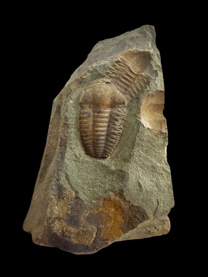 Photoroom 032 20251110 103002