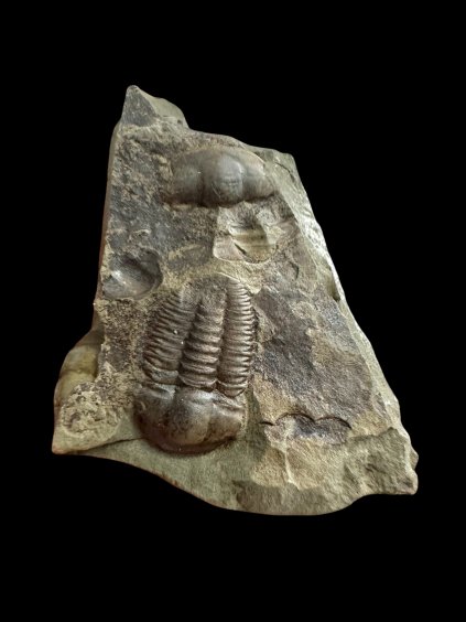 Photoroom 035 20251110 103002