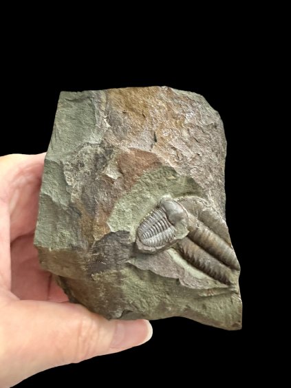 Photoroom 014 20251110 103946