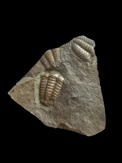 Photoroom 018 20251110 103946