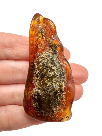 Photoroom 000 20251110 173344