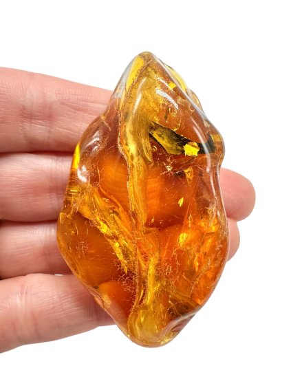 Photoroom 003 20251110 173344