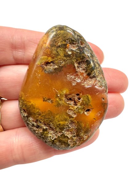 Photoroom 006 20251110 173344