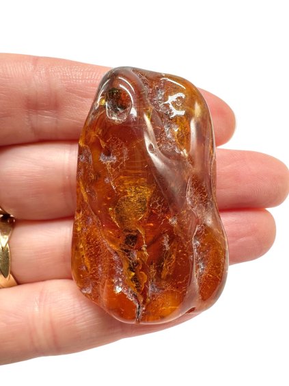 Photoroom 015 20251110 173344