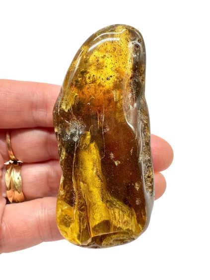 Photoroom 007 20251111 165513