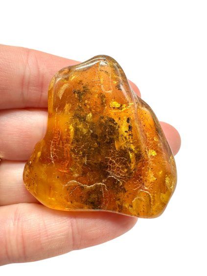 Photoroom 009 20251111 165513