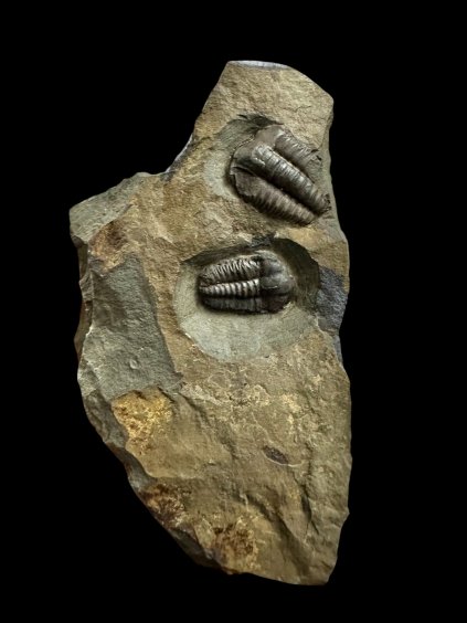 Photoroom 010 20251111 165821