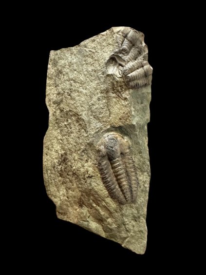 Photoroom 023 20251113 150724