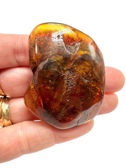 Photoroom 015 20251111 165513