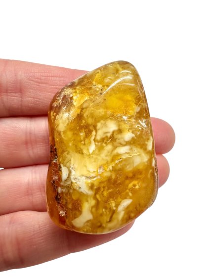 Photoroom 000 20251113 150110