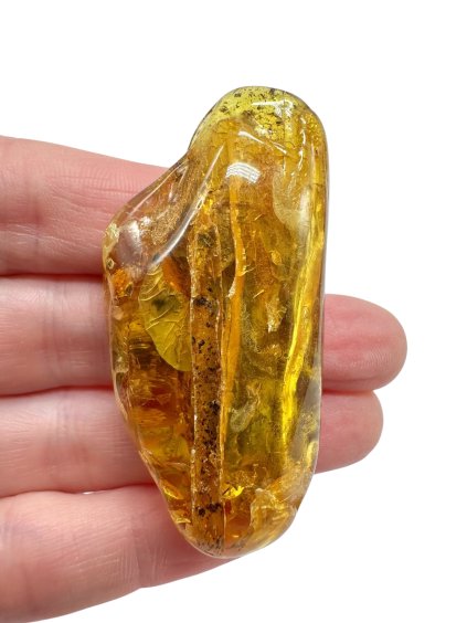 Photoroom 000 20251114 111540