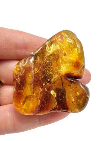 Photoroom 010 20251114 111540