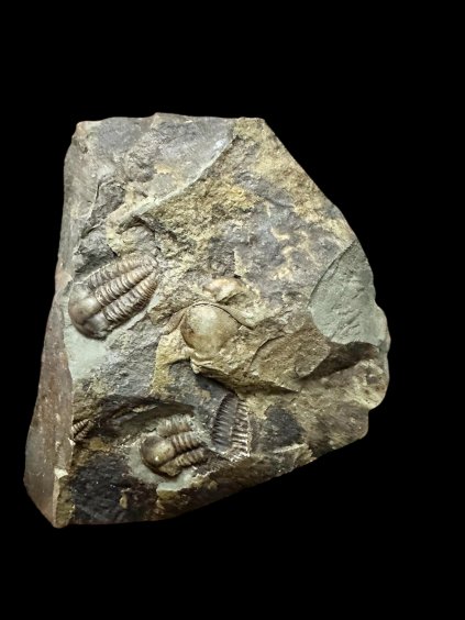 Photoroom 000 20251113 191406