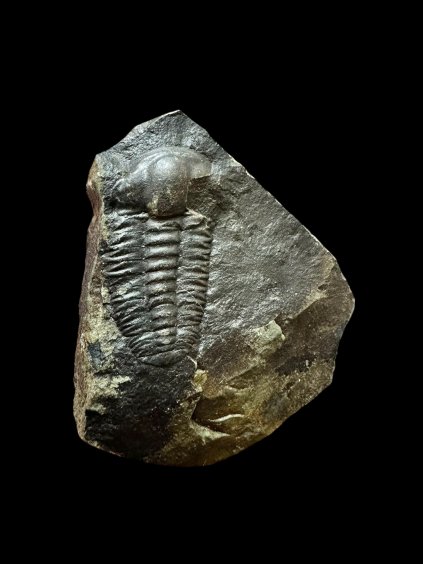 Photoroom 005 20251113 191406