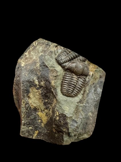 Photoroom 008 20251113 191406